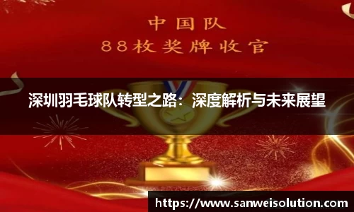 深圳羽毛球队转型之路：深度解析与未来展望